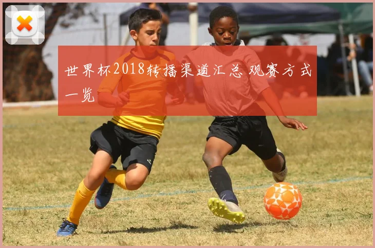 世界杯2018转播渠道汇总 观赛方式一览