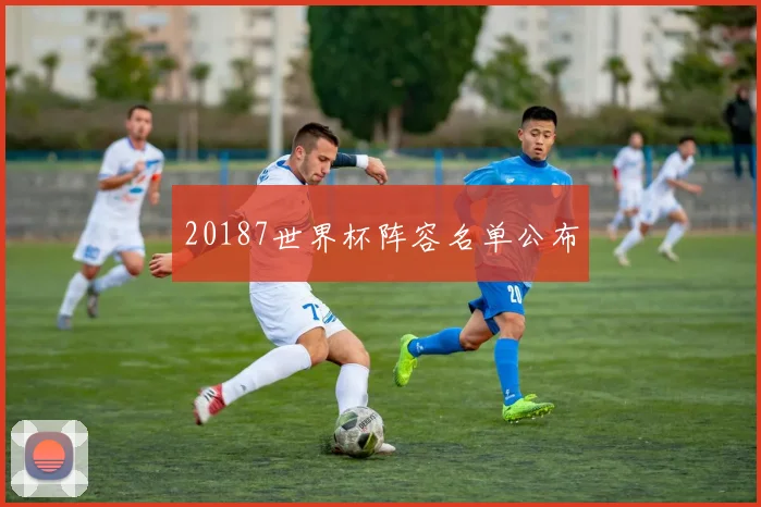 20187世界杯阵容名单公布