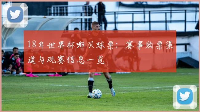 18年世界杯哪买球票：赛事购票渠道与观赛信息一览